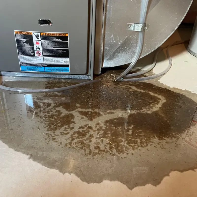 Appliance Leak Cleanup in Escatawpa, MS